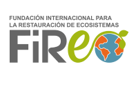 logo-fire-fundacin_-color1.png